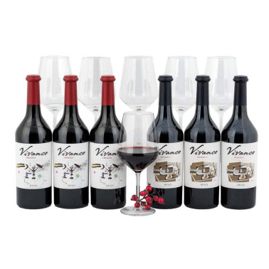 Lote Vino Vivanco (674)